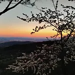 Podere Fusai Villa *
