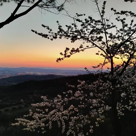Podere Fusai Villa *