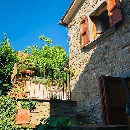 Podere Fusai * Arezzo