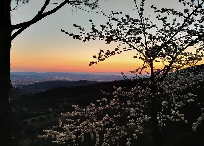 Podere Fusai Villa *